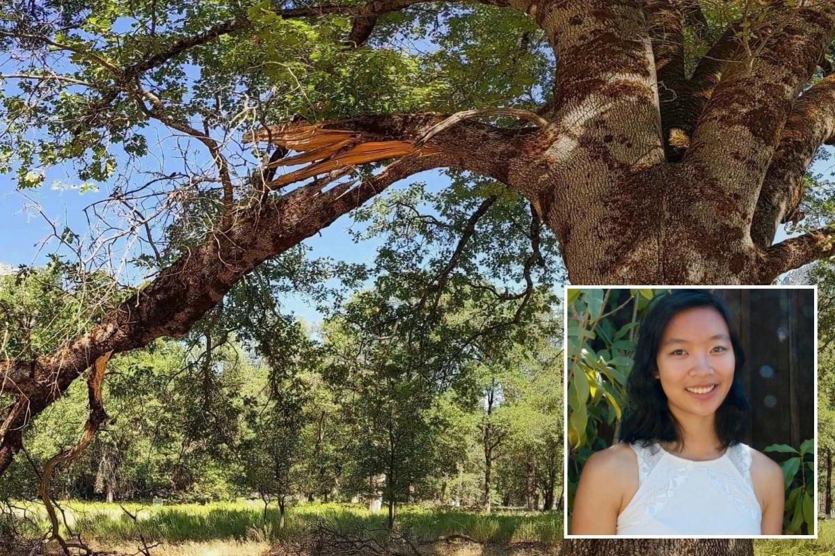 You are currently viewing Yosemite warns visitors about deadly park hazard that recently killed Google engineer