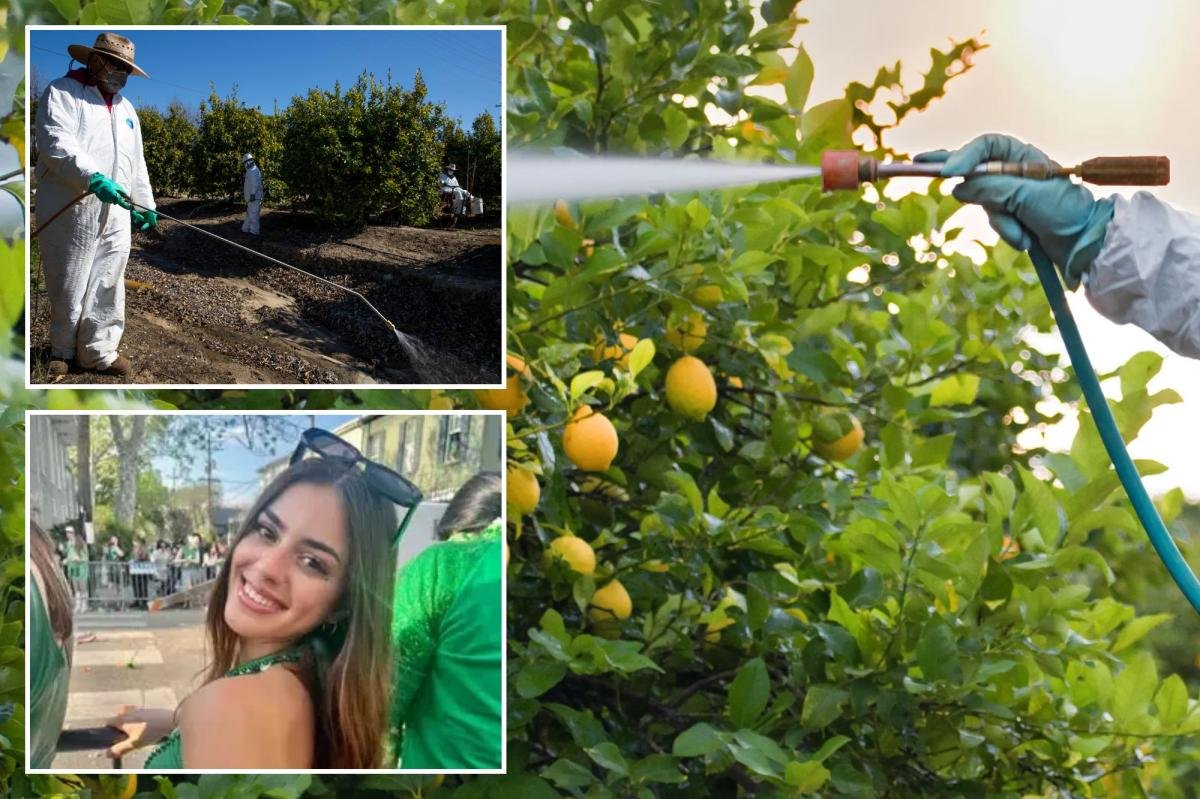 You are currently viewing California restricts toxic weedkiller as SoCal community battles rare cancer cluster fears