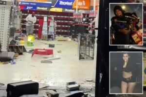 Read more about the article Mob of looters who struck LA AutoZone twice in 24 hours pictured by police