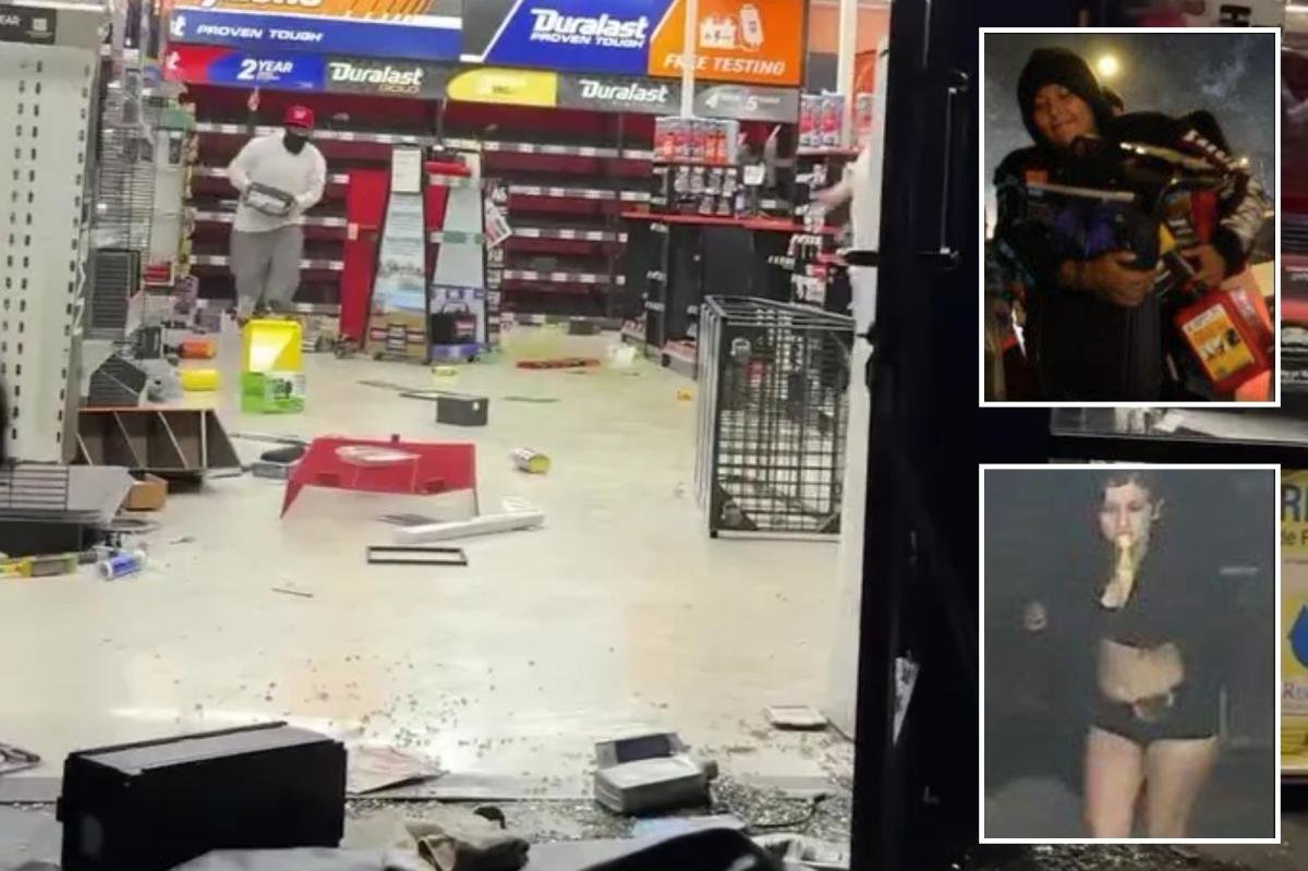 You are currently viewing Mob of looters who struck LA AutoZone twice in 24 hours pictured by police