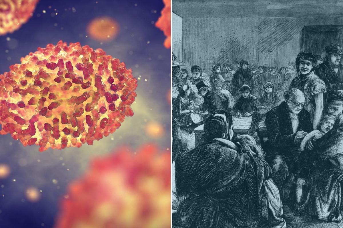 Read more about the article Mummy DNA exposes gruesome history of a deadly disease brought by colonists that ravaged early Americans