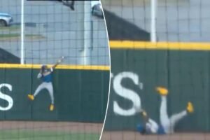 Read more about the article Brewers minor leaguer makes catch of the year bid with unbelievable home run robbery