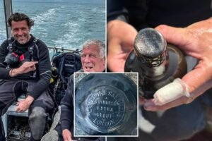 Read more about the article Divers find 162-year-old Guinness in shipwreck â and there’s a ‘possibility it’s still drinkable’