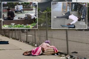 Read more about the article Almost half of NYC homeless deaths tied to drug overdoses or alcohol abuse: study