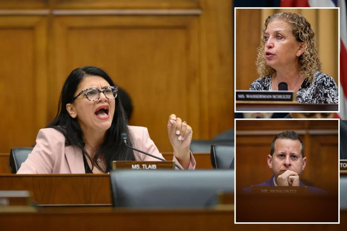 You are currently viewing Rashida Tlaib slammed for targeting Jewish House Democrats in Florida primaries: ‘No coincidence’