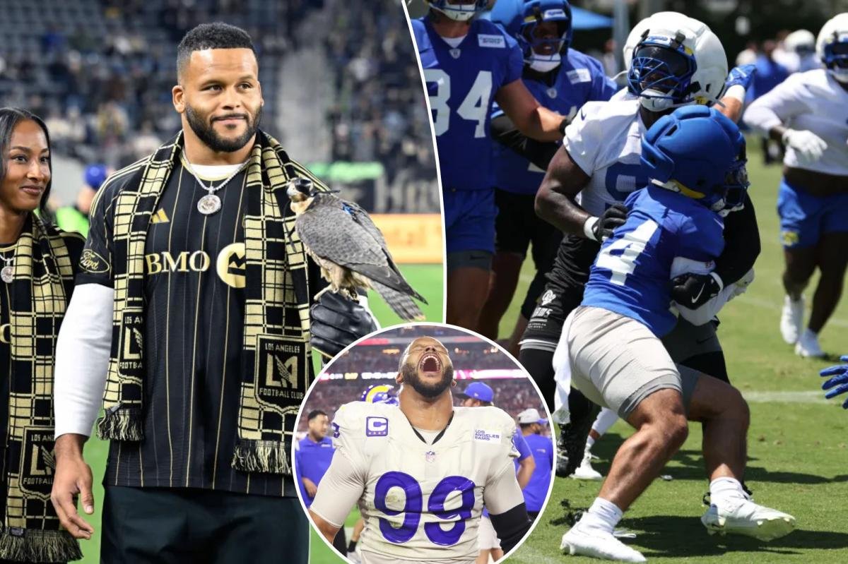 You are currently viewing Rams teammate noticed something terrifying during Aaron Donald workout