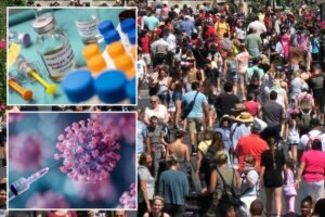 Read more about the article Measles panic at popular SoCal theme park after infected guest roamed for hours
