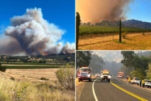 Read more about the article Fast-moving Feliz Fire wildfire explodes in Northern California as urgent evacuation orders issued