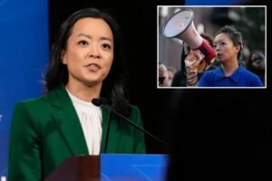 Read more about the article Socialist Wisconsin Dem Francesca Hong in hot seat after ‘Cancel Thanksgiving’ post emerges online