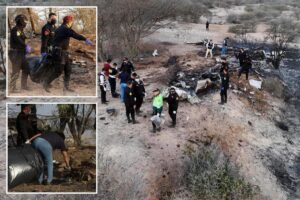 Read more about the article 13 tourists killed in plane crash near Peru’s famed Nazca Lines during viewing flight