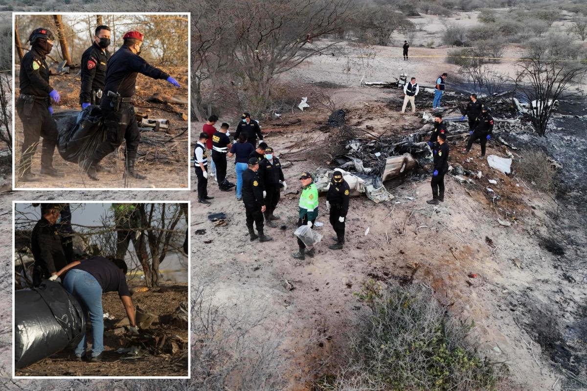 You are currently viewing 13 tourists killed in plane crash near Peru’s famed Nazca Lines during viewing flight