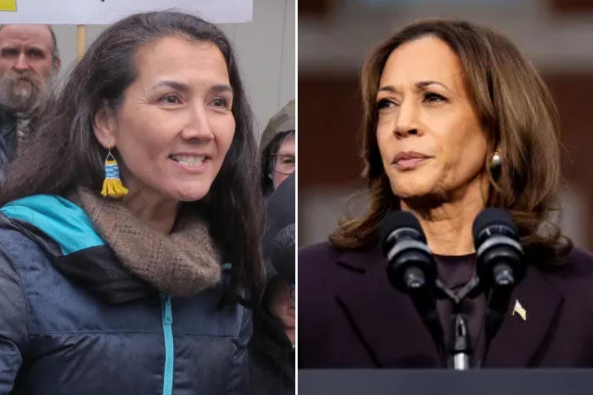 You are currently viewing Alaska Democrat turns down support from Kamala Harris ahead of Senate primaryÂ 