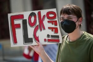 Read more about the article The common enemy bringing Americans of the left and right  together: Flock cameras ‘documenting everybody all the time’