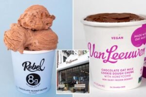 Read more about the article Ice cream maker Rebel Creamery files for bankruptcy after being ordered to pay $23.8M in packaging battle