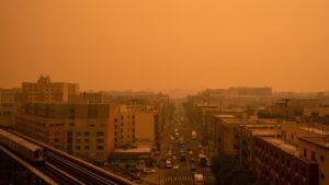 Read more about the article Canada wildfires expose failures of green forest management policies