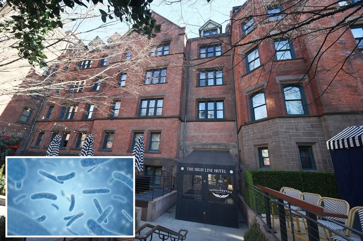 You are currently viewing Legionnairesâ disease spreads to posh High Line Hotel as operator allegedly muzzles staff from warning guests