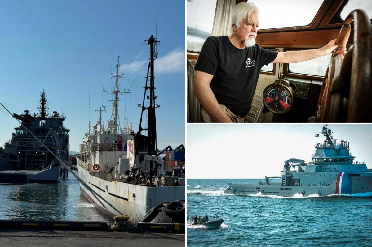 You are currently viewing Iceland seizes Paul Watson Foundationâs anti-whaling ship, detains 21 crew members