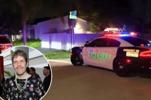 Read more about the article Perez Hilton livestreams apparent self-harming video, cops respond to celeb blogger’s Miami home