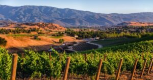Read more about the article Homey yet sophisticated, Santa Ynez is a rural paradise