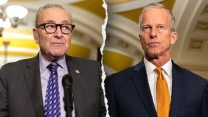 Read more about the article Schumer, Dems relent to back deal to thwart government shutdown