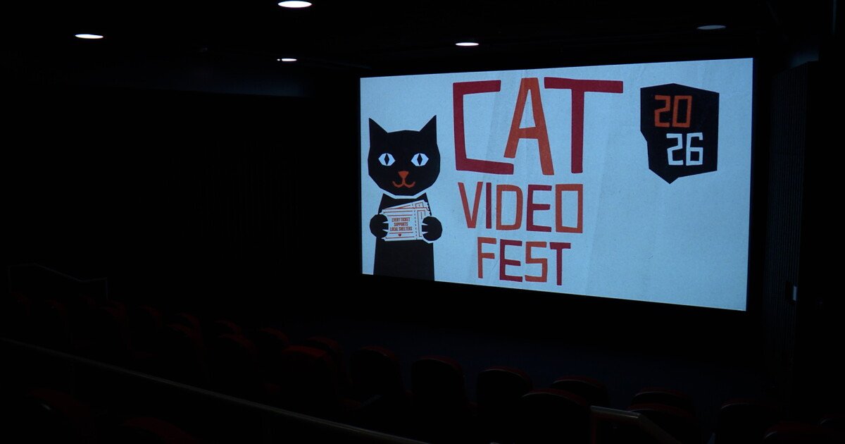You are currently viewing Fabulous felines hit the big screen in San Diego