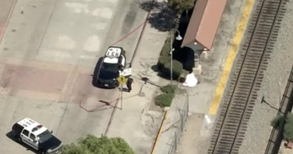You are currently viewing Man stabbed to death on Metrolink platform in San Fernando Valley