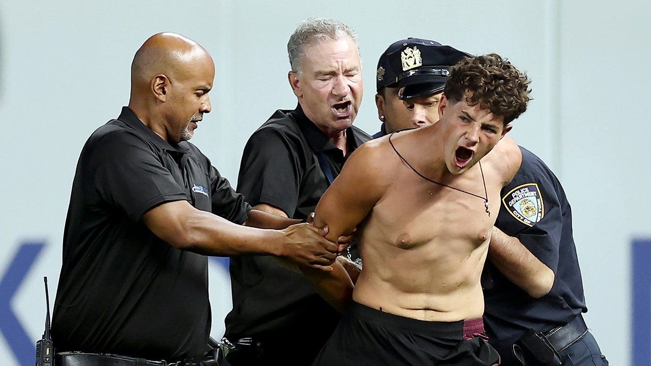 You are currently viewing Three fans storm Yankee Stadium field, security delivers crushing response