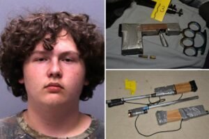 Read more about the article Florida middle school student, 14, arrested after allegedly stashing homemade guns for robbery plot