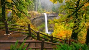 Read more about the article Tourist dies after 177-foot fall at Oregon’s Silver Falls State Park