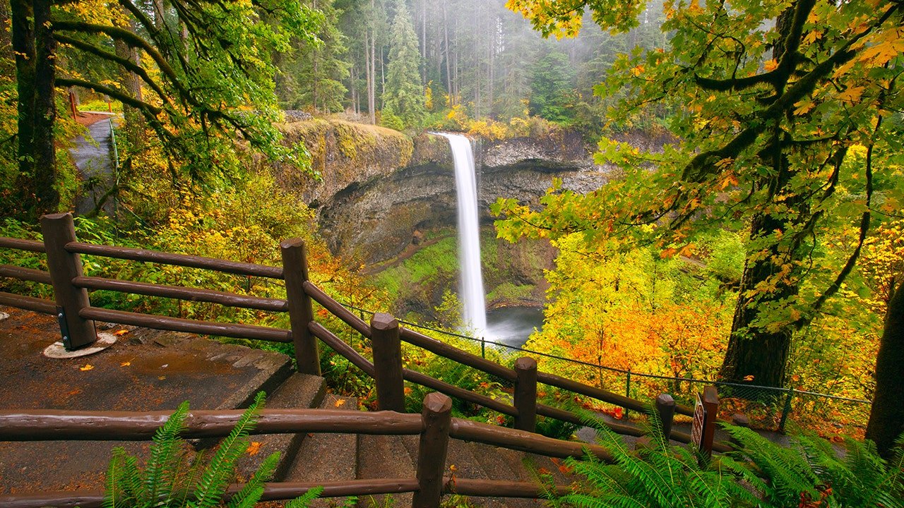 You are currently viewing Tourist dies after 177-foot fall at Oregon’s Silver Falls State Park