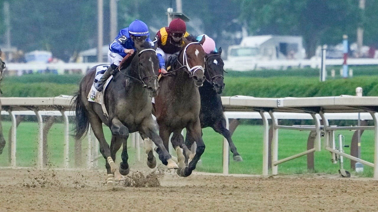 You are currently viewing Whitney Day Saratoga Race Course best bets for all 4 Grade 1 races
