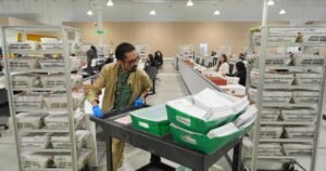 Read more about the article Trump again asks Supreme Court to save USPS mail ballot plan after second lower court loss