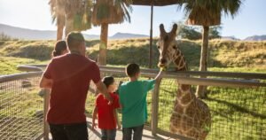 Read more about the article 10 terrific things to do with kids around Palm Springs