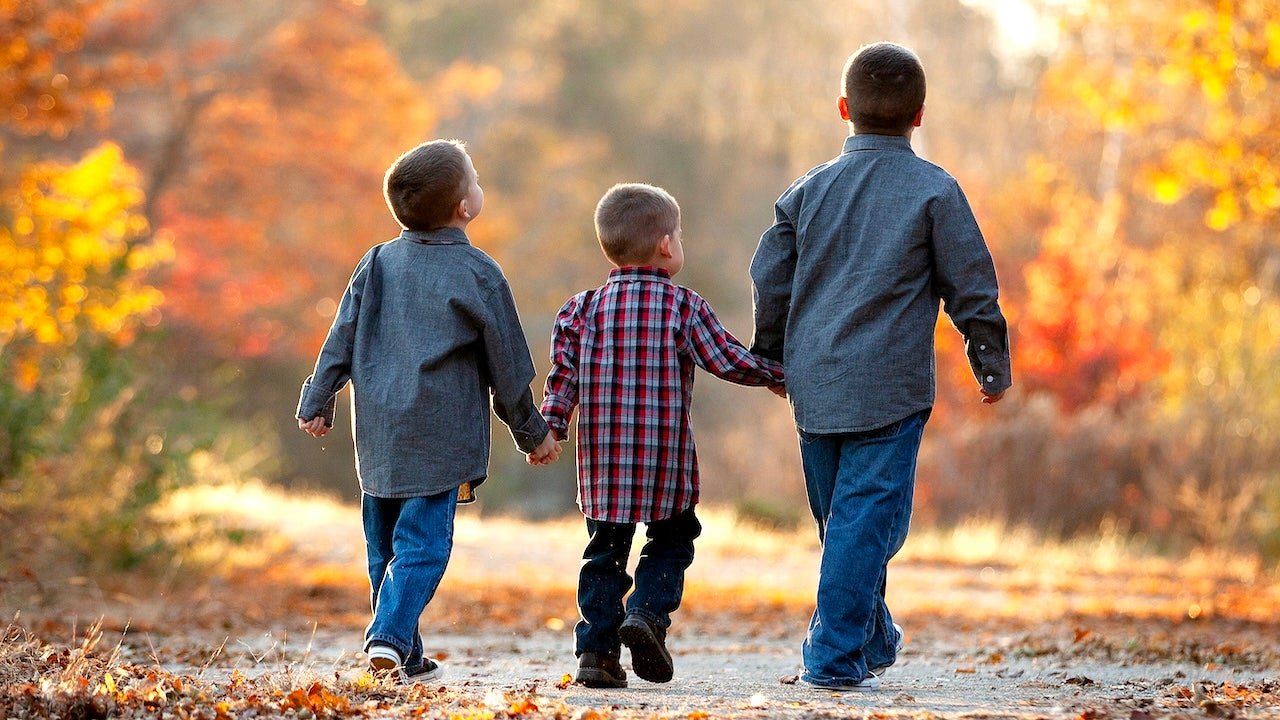 You are currently viewing Birth order may predict risk for allergies, psychiatric disorders and substance use