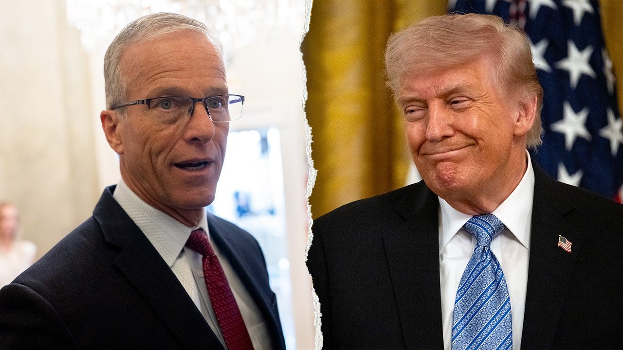 You are currently viewing Thune pushes back on reports his relationship with Trump is broken