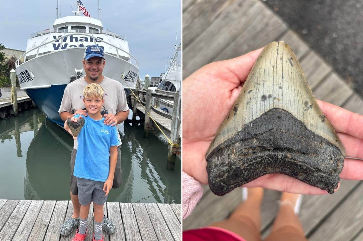 You are currently viewing Massive tooth of 3.6M-year-old megalodon â largest shark to ever live â discovered on Jersey Shore