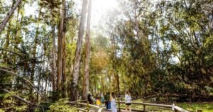 Read more about the article California’s 10 most popular state campgrounds