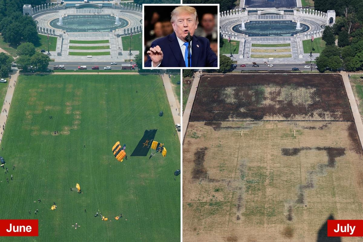 You are currently viewing Trump blames vandals for dead grass on National Mall where he hosted 4th of July celebration