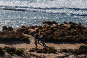 Read more about the article What’s Going on in Del Mar?