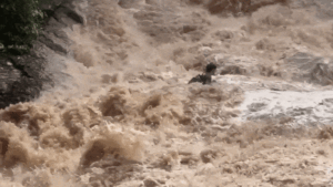 Read more about the article Tourists are shown being swept downstream in Mae Sa Waterfall flash flood in Thailand