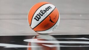 Read more about the article WNBA fan goes viral for half-court shot horror show that left him sprawled on the court