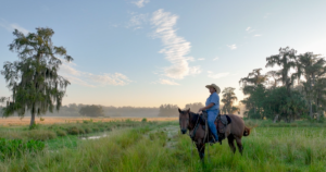 Read more about the article Women of the Watershed